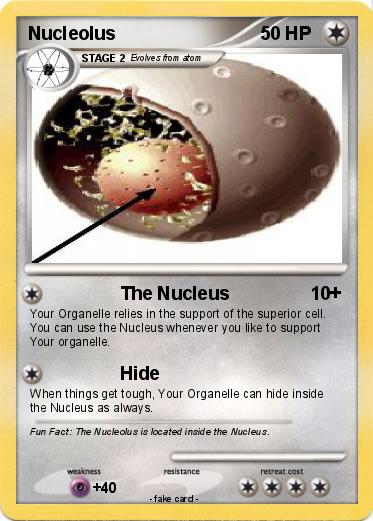 Pokemon Nucleolus