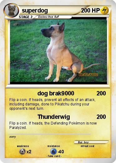 Pokemon superdog