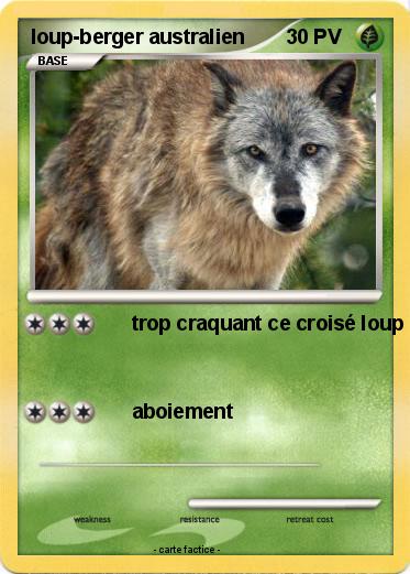 Pokemon loup-berger australien