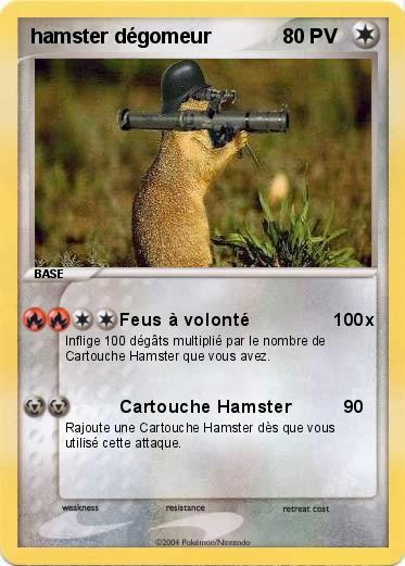 Pokemon hamster dégomeur