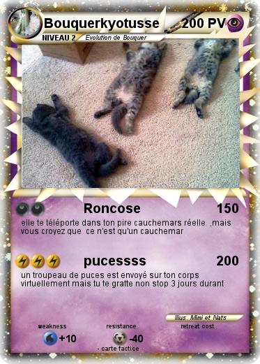 Pokemon Bouquerkyotusse
