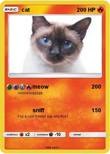 Pokemon cat