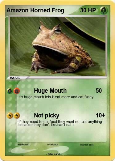 Pokemon Amazon Horned Frog