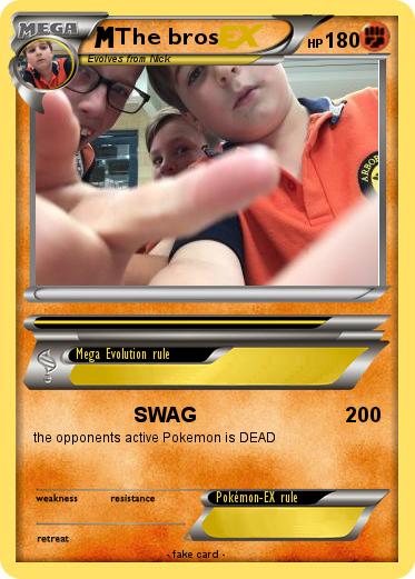 Pokemon The bros
