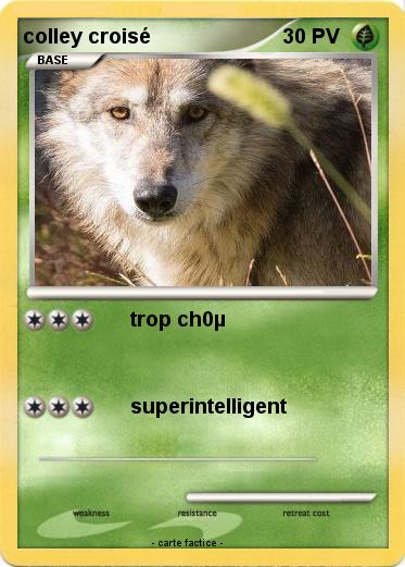 Pokemon colley croisé