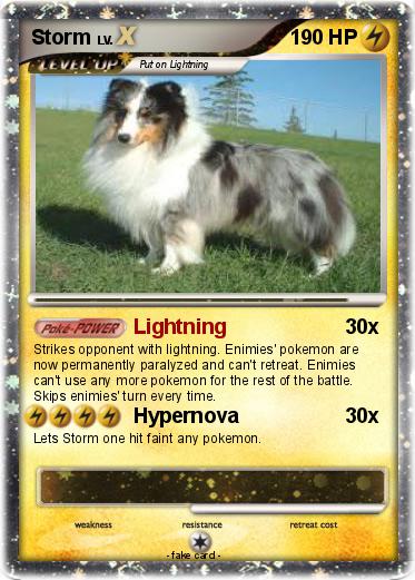 Pokemon Storm