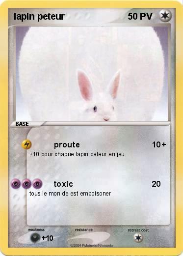 Pokemon lapin peteur   