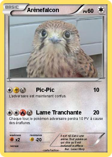 Pokemon Arènefalcon