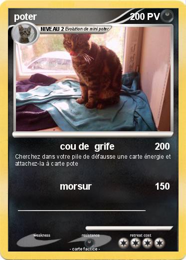 Pokemon poter