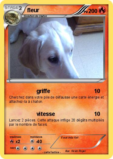 Pokemon fleur