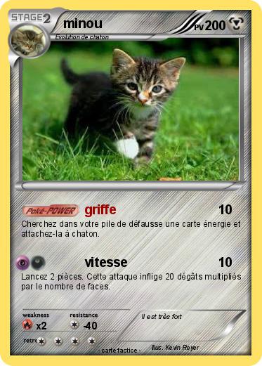 Pokemon minou