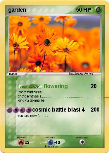 Pokemon garden