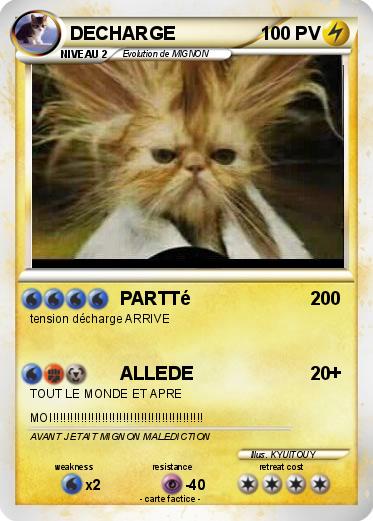 Pokemon DECHARGE