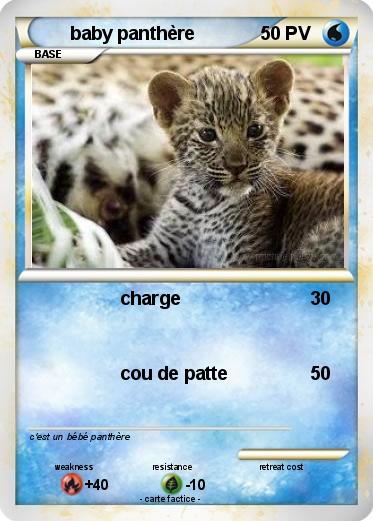 Pokemon baby panthère