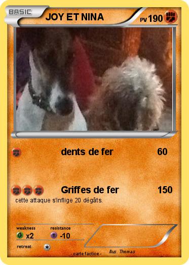Pokemon JOY ET NINA