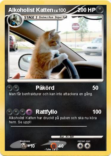 Pokemon Alkoholist Katten