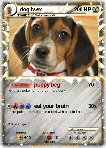Pokemon dog lv.ex
