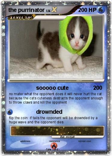Pokemon the purrinator