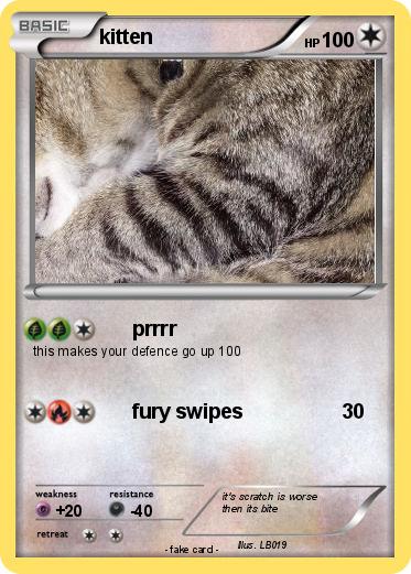 Pokemon kitten