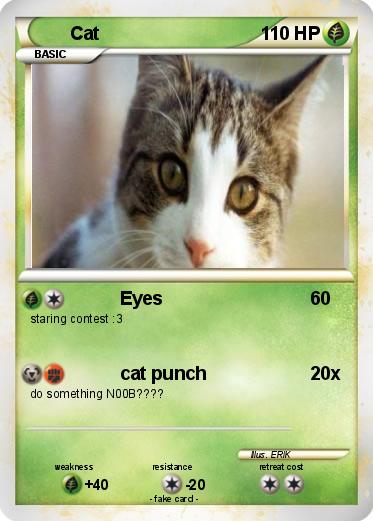 Pokemon Cat