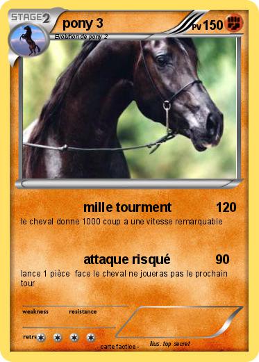 Pokemon pony 3