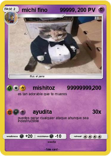 Pokemon michi fino        99999,