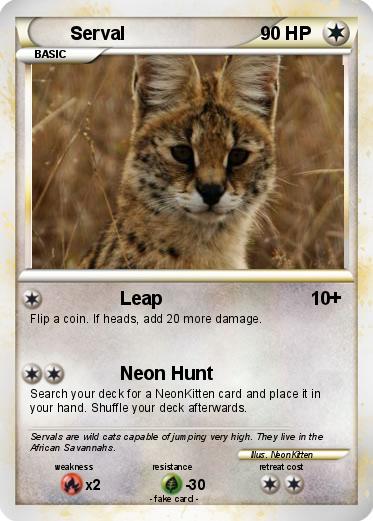 Pokemon Serval