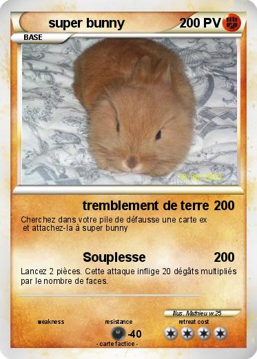 Pokemon super bunny