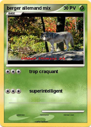 Pokemon berger allemand mix