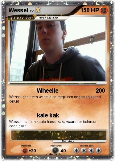 Pokemon Wessel