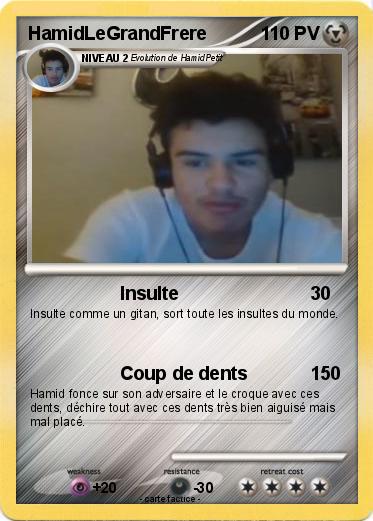 Pokemon HamidLeGrandFrere