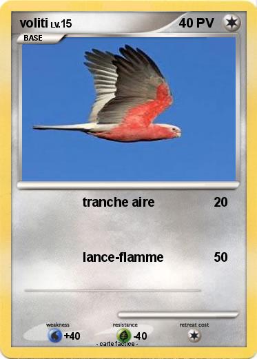 Pokemon voliti
