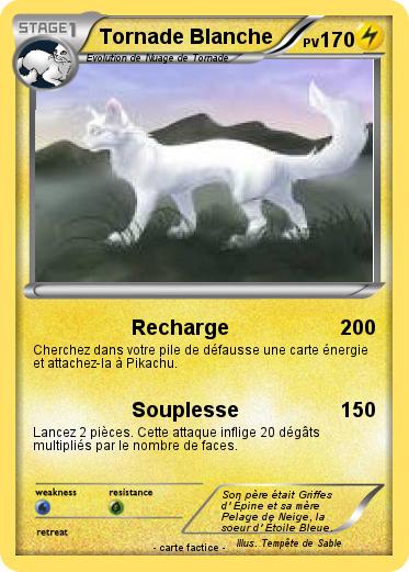 Pokemon Tornade Blanche