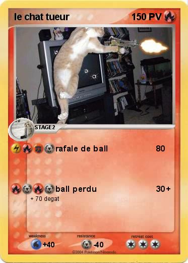 Pokemon le chat tueur