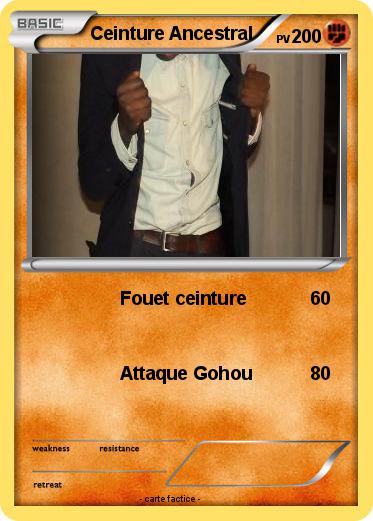 Pokemon Ceinture Ancestral