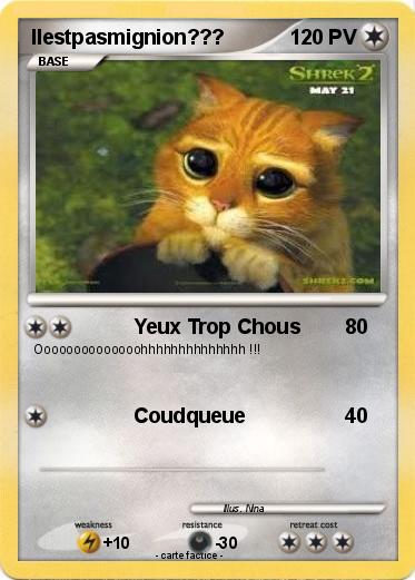 Pokemon Ilestpasmignion???