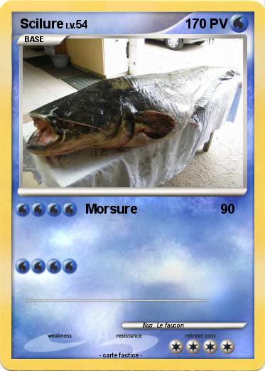 Pokemon Scilure