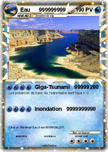 Pokemon Eau      999999999