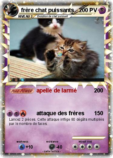 Pokemon frère chat puissants