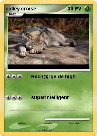 Pokemon colley croisé