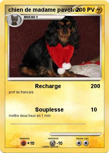 Pokemon chien de madame pavot