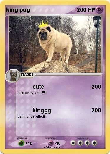 Pokemon king pug