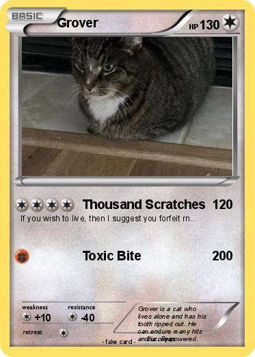 Pokemon Grover