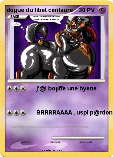 Pokemon dogue du tibet centaure
