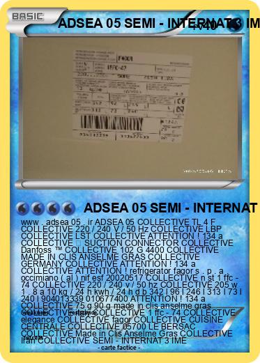 Pokemon ADSEA 05 SEMI - INTERNAT 3 IME
