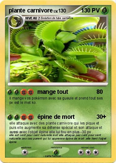 Pokemon plante carnivore