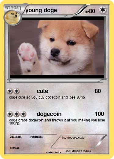 Pokemon young doge