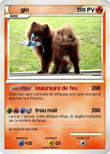 Pokemon gin