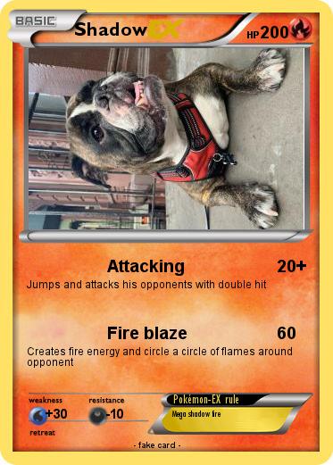 Pokemon Shadow