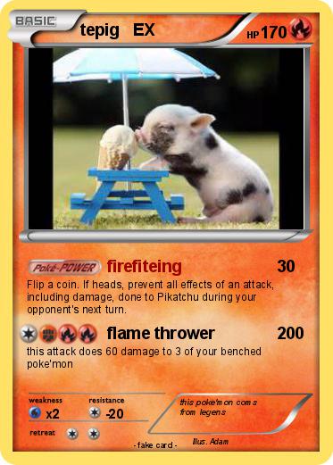 Pokemon tepig   EX